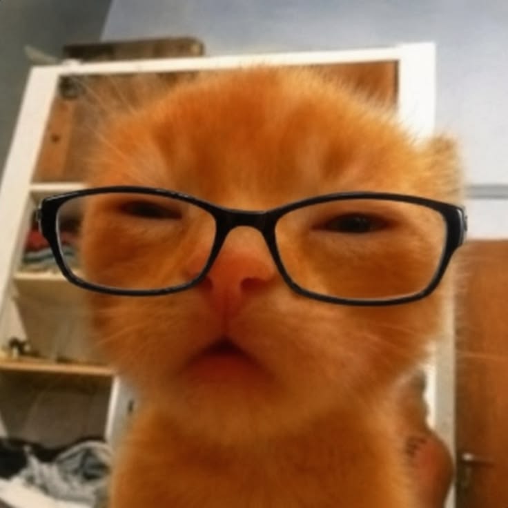 Phúc Bùi